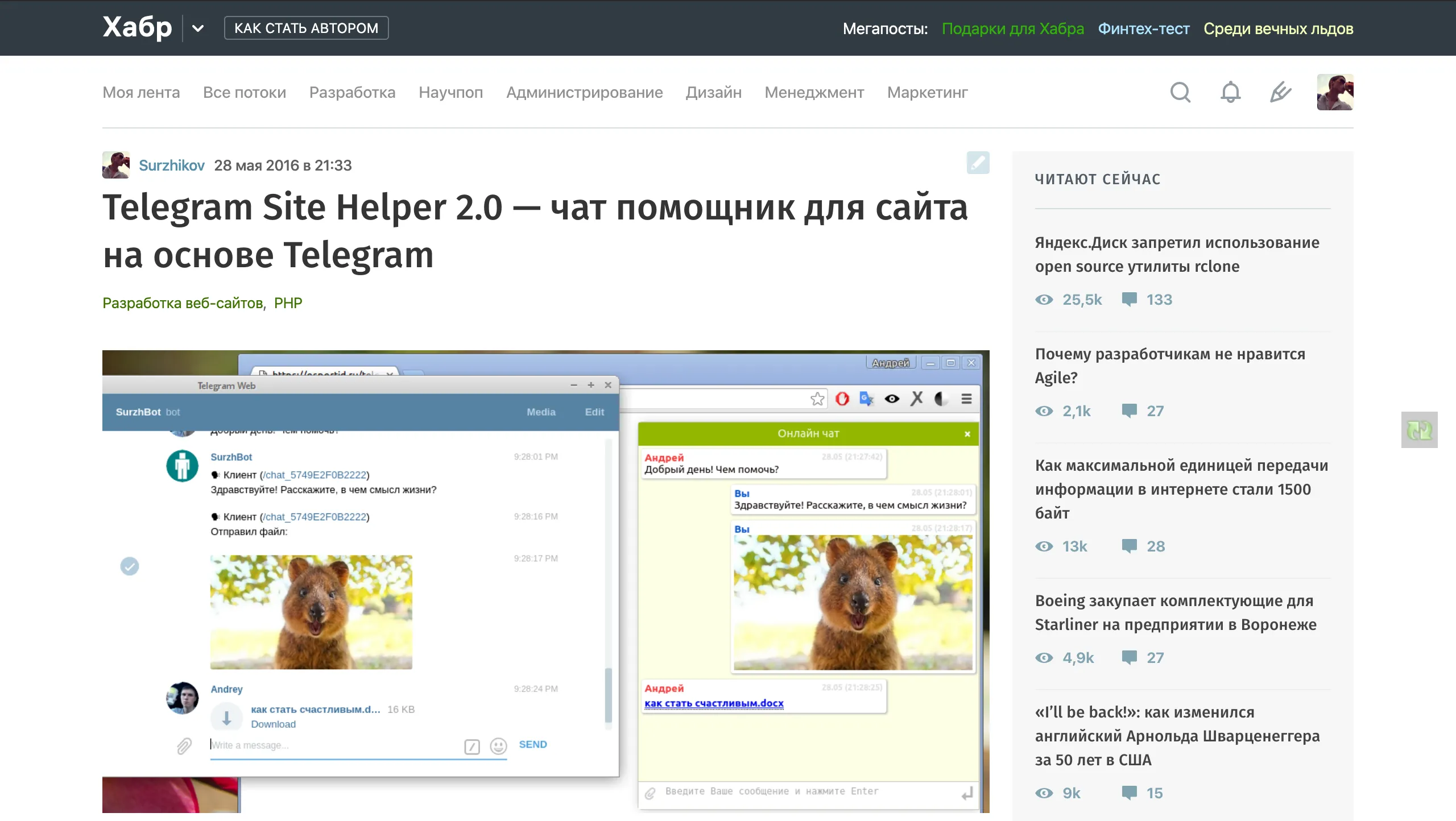 Habr article about the project